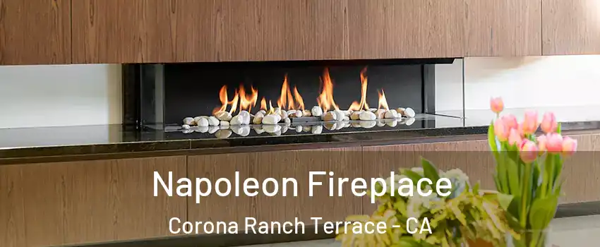 Napoleon Fireplace Corona Ranch Terrace - CA