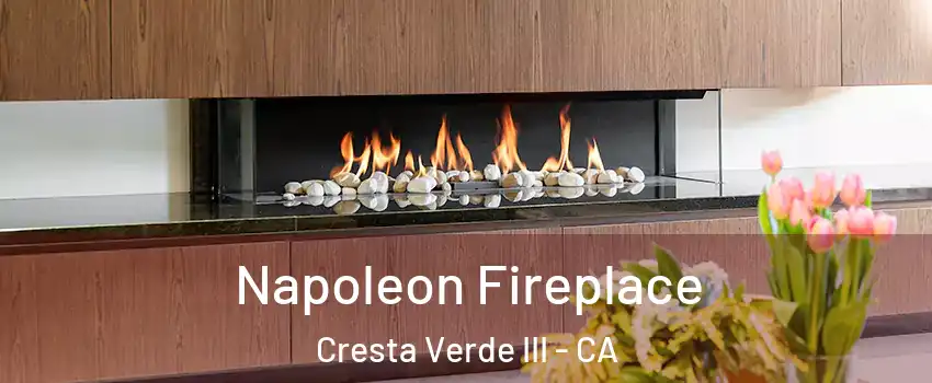 Napoleon Fireplace Cresta Verde III - CA