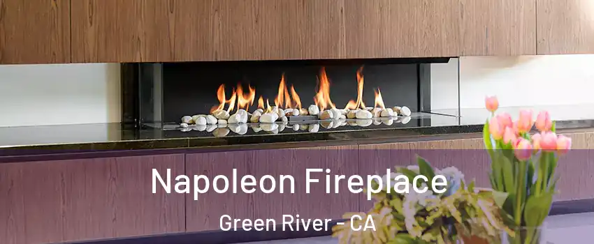 Napoleon Fireplace Green River - CA