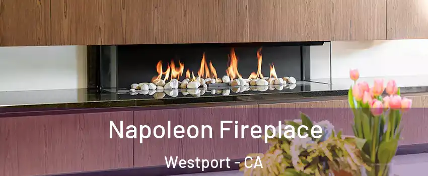 Napoleon Fireplace Westport - CA