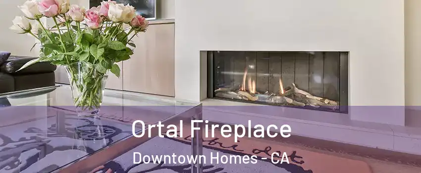 Ortal Fireplace Downtown Homes - CA