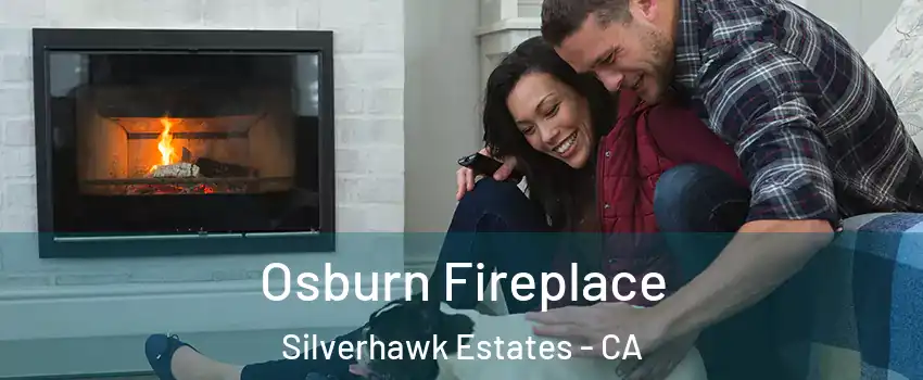 Osburn Fireplace Silverhawk Estates - CA