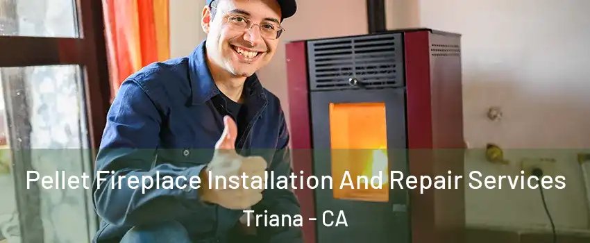 Pellet Fireplace Installation And Repair Services Triana - CA