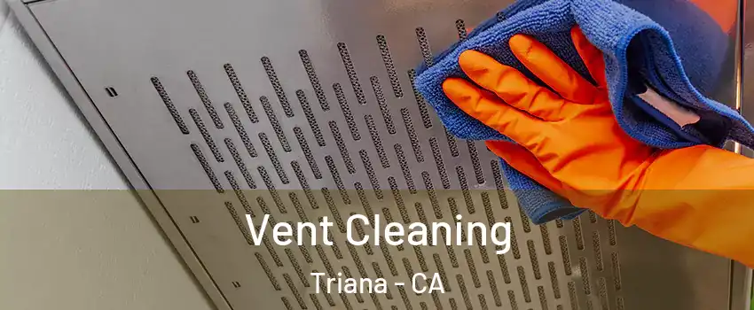 Vent Cleaning Triana - CA