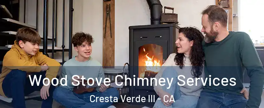 Wood Stove Chimney Services Cresta Verde III - CA