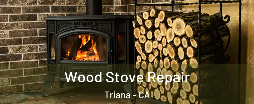 Wood Stove Repair Triana - CA